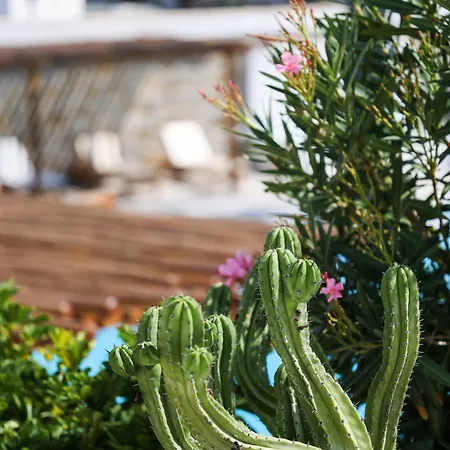 호텔 포세이돈 스위트 4*